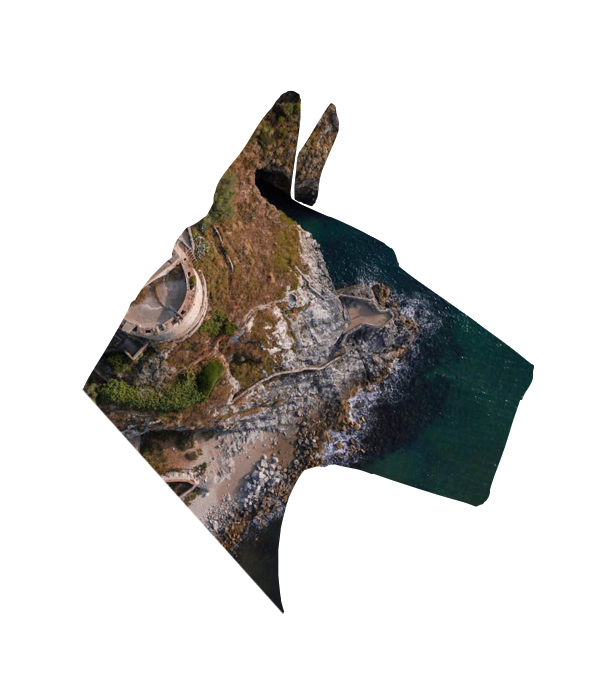 Verse Atoui portrait